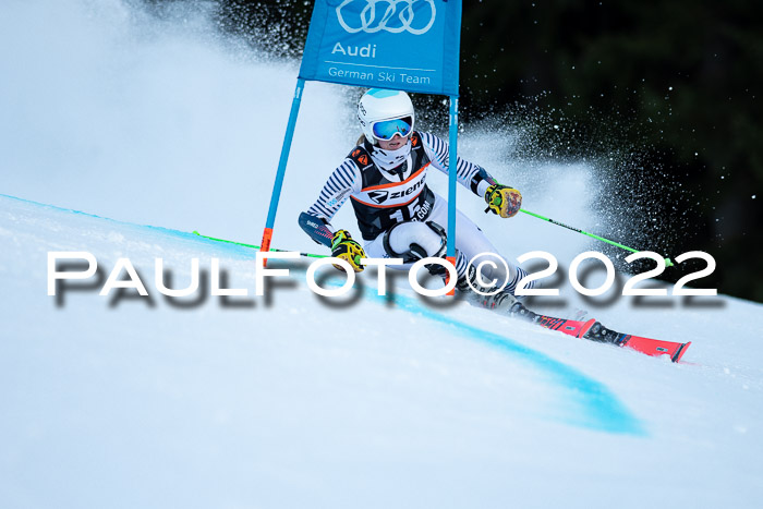 FIS Riesenslalom, ATA, Damen + Herren, 14.02.2022