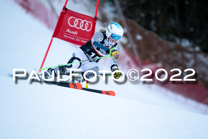 FIS Riesenslalom, ATA, Damen + Herren, 14.02.2022