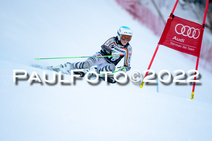 FIS Riesenslalom, ATA, Damen + Herren, 14.02.2022