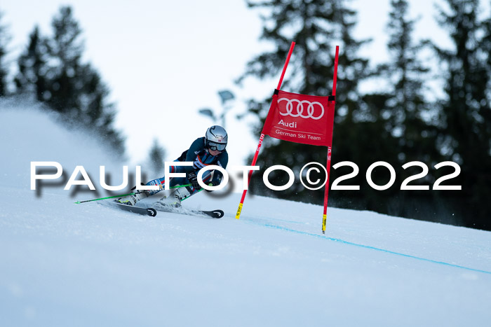 FIS Riesenslalom, ATA, Damen + Herren, 14.02.2022