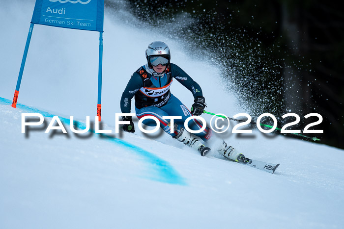 FIS Riesenslalom, ATA, Damen + Herren, 14.02.2022