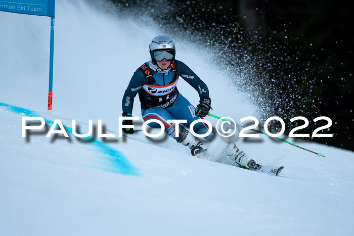 FIS Riesenslalom, ATA, Damen + Herren, 14.02.2022