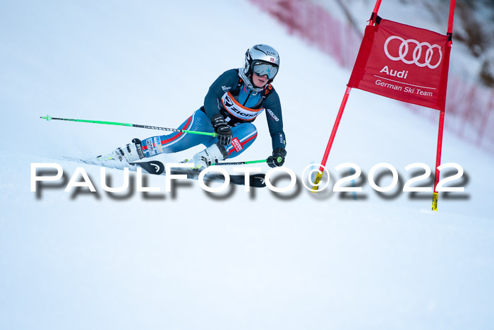 FIS Riesenslalom, ATA, Damen + Herren, 14.02.2022