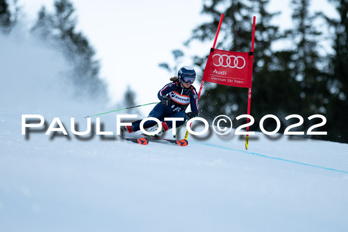 FIS Riesenslalom, ATA, Damen + Herren, 14.02.2022