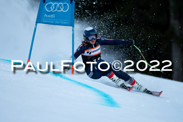 FIS Riesenslalom, ATA, Damen + Herren, 14.02.2022