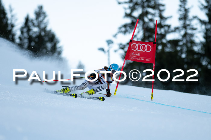 FIS Riesenslalom, ATA, Damen + Herren, 14.02.2022