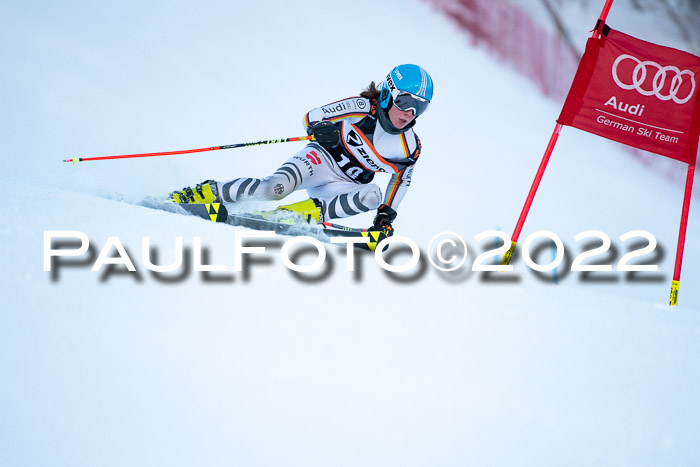 FIS Riesenslalom, ATA, Damen + Herren, 14.02.2022