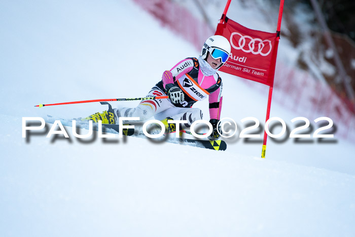 FIS Riesenslalom, ATA, Damen + Herren, 14.02.2022