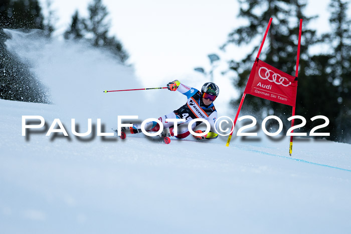 FIS Riesenslalom, ATA, Damen + Herren, 14.02.2022