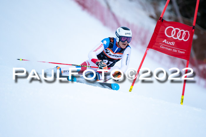 FIS Riesenslalom, ATA, Damen + Herren, 14.02.2022