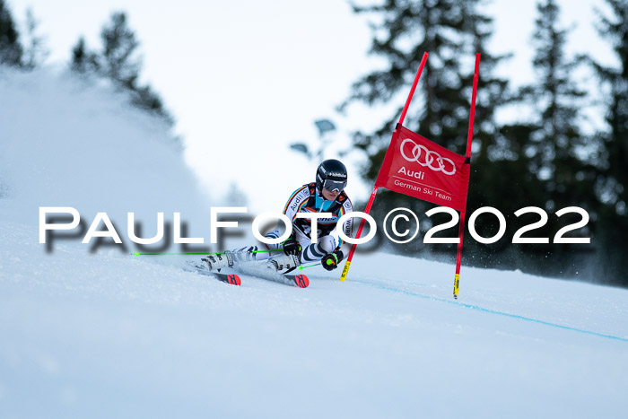 FIS Riesenslalom, ATA, Damen + Herren, 14.02.2022