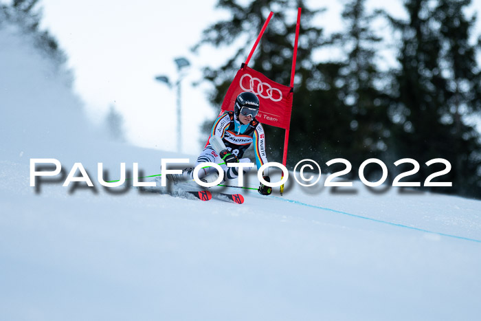 FIS Riesenslalom, ATA, Damen + Herren, 14.02.2022