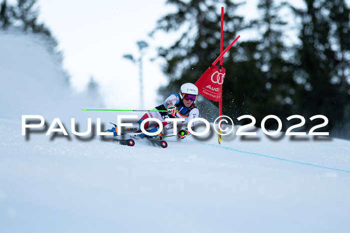 FIS Riesenslalom, ATA, Damen + Herren, 14.02.2022