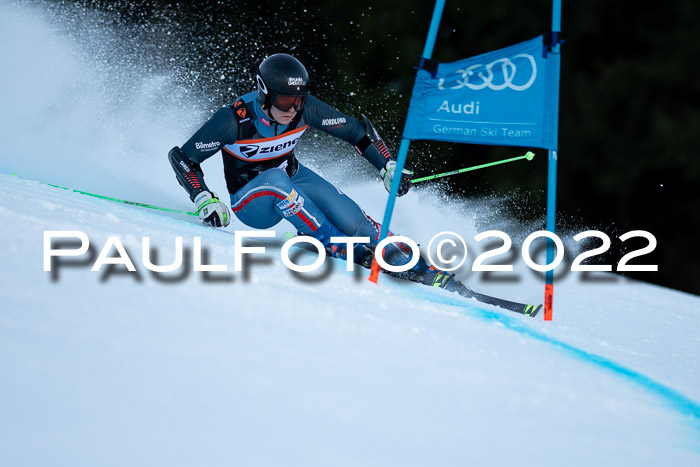 FIS Riesenslalom, ATA, Damen + Herren, 14.02.2022