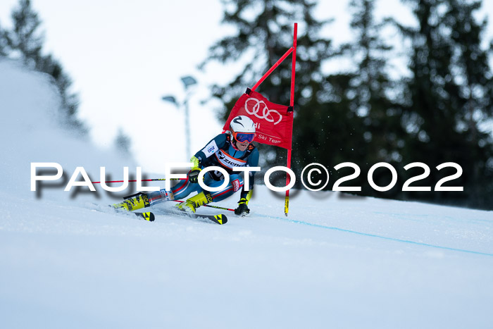 FIS Riesenslalom, ATA, Damen + Herren, 14.02.2022