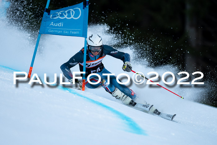 FIS Riesenslalom, ATA, Damen + Herren, 14.02.2022