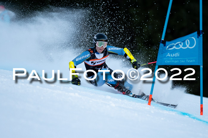 FIS Riesenslalom, ATA, Damen + Herren, 14.02.2022