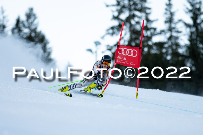 FIS Riesenslalom, ATA, Damen + Herren, 14.02.2022