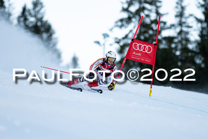 FIS Riesenslalom, ATA, Damen + Herren, 14.02.2022