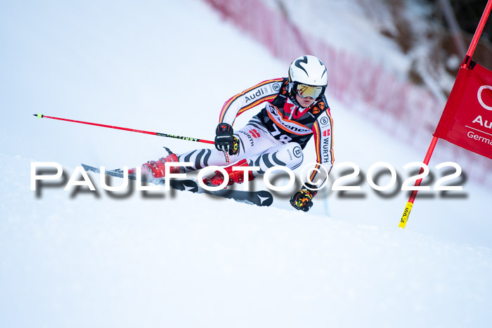 FIS Riesenslalom, ATA, Damen + Herren, 14.02.2022