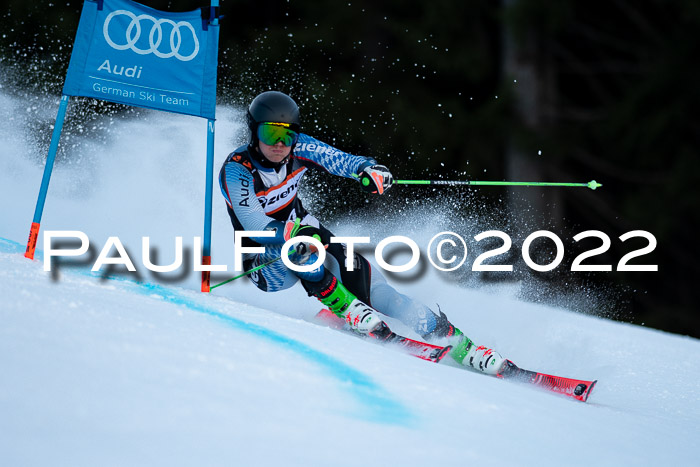 FIS Riesenslalom, ATA, Damen + Herren, 14.02.2022