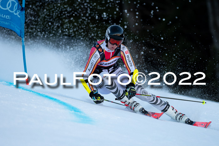FIS Riesenslalom, ATA, Damen + Herren, 14.02.2022