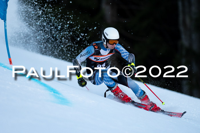 FIS Riesenslalom, ATA, Damen + Herren, 14.02.2022