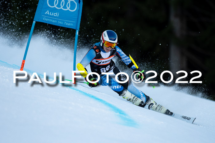 FIS Riesenslalom, ATA, Damen + Herren, 14.02.2022