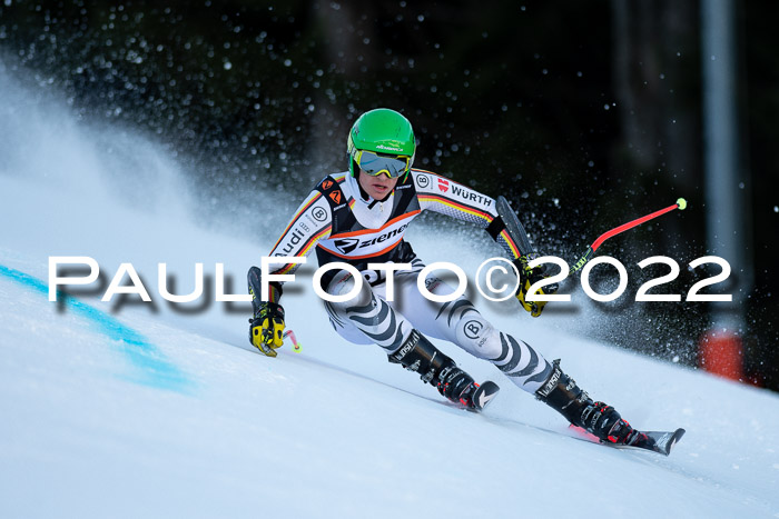 FIS Riesenslalom, ATA, Damen + Herren, 14.02.2022