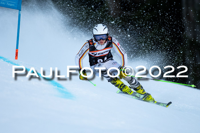 FIS Riesenslalom, ATA, Damen + Herren, 14.02.2022