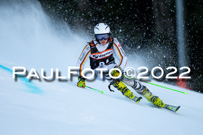 FIS Riesenslalom, ATA, Damen + Herren, 14.02.2022