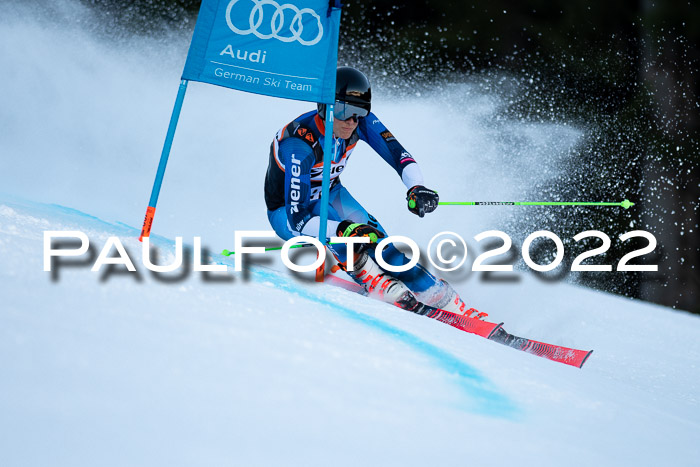 FIS Riesenslalom, ATA, Damen + Herren, 14.02.2022