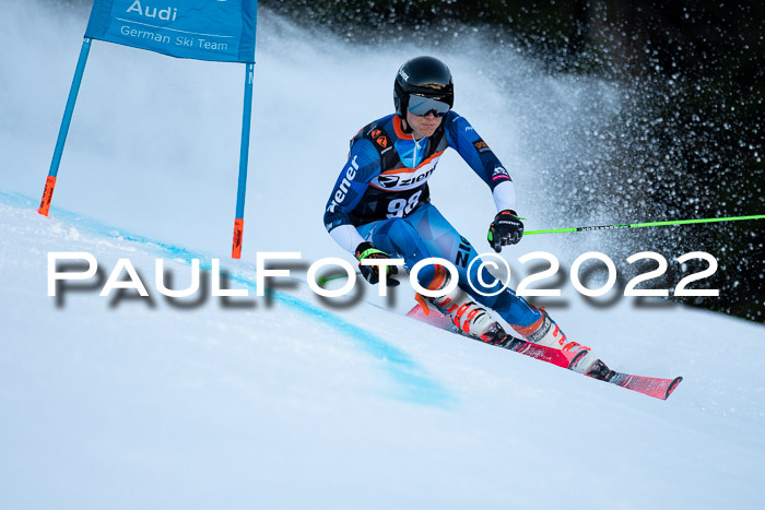 FIS Riesenslalom, ATA, Damen + Herren, 14.02.2022