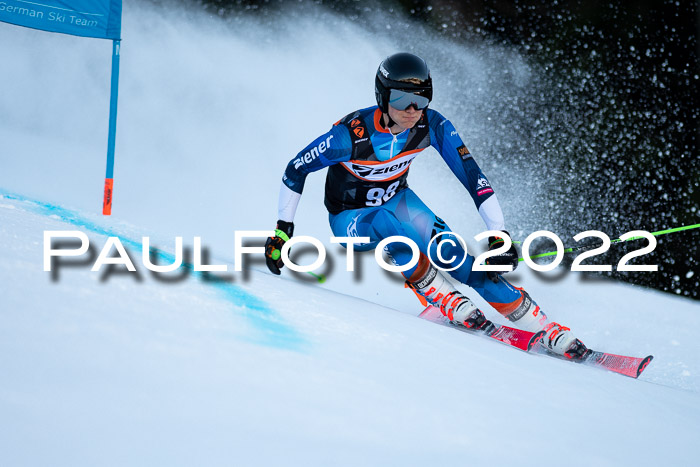 FIS Riesenslalom, ATA, Damen + Herren, 14.02.2022