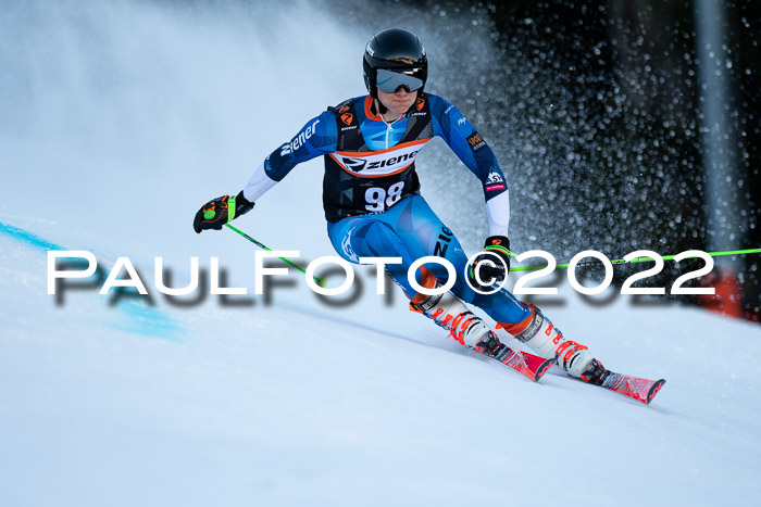 FIS Riesenslalom, ATA, Damen + Herren, 14.02.2022