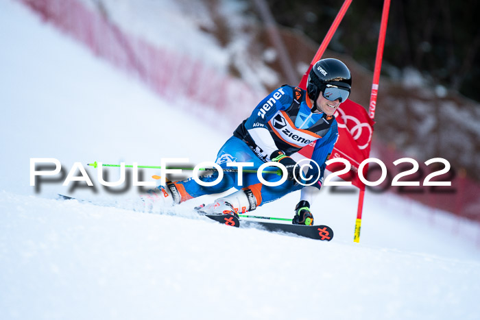 FIS Riesenslalom, ATA, Damen + Herren, 14.02.2022