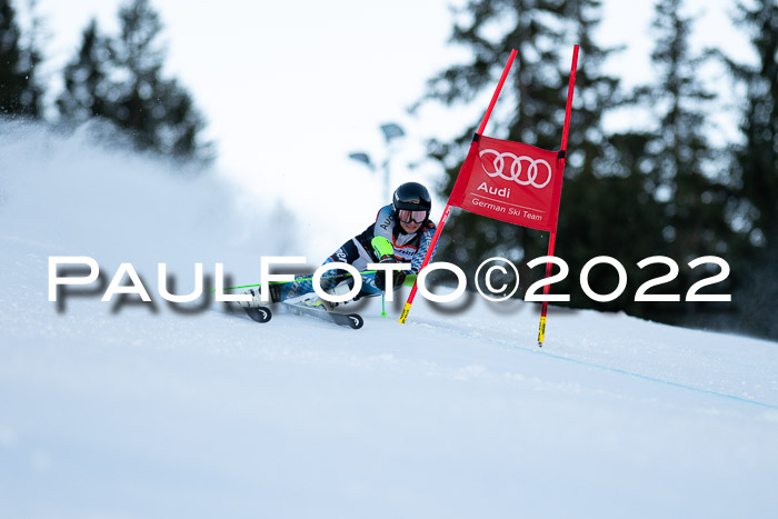 FIS Riesenslalom, ATA, Damen + Herren, 14.02.2022