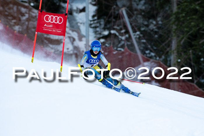 FIS Riesenslalom, ATA, Damen + Herren, 14.02.2022