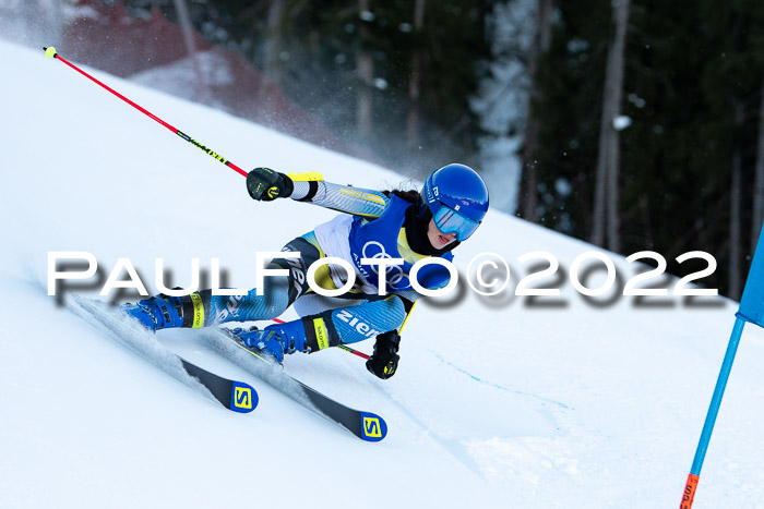 FIS Riesenslalom, ATA, Damen + Herren, 14.02.2022