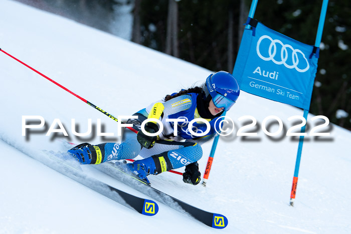 FIS Riesenslalom, ATA, Damen + Herren, 14.02.2022