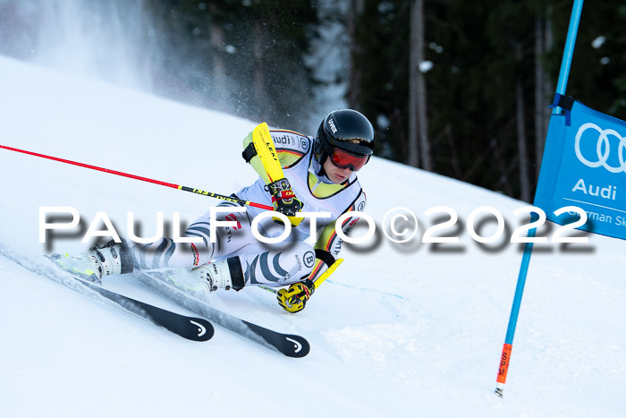 FIS Riesenslalom, ATA, Damen + Herren, 14.02.2022