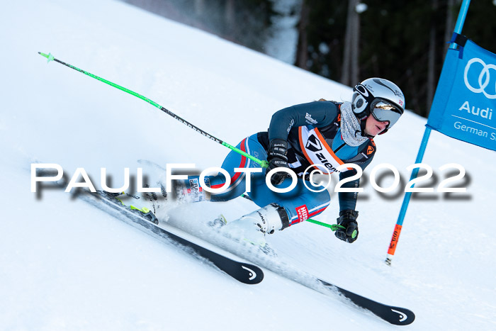 FIS Riesenslalom, ATA, Damen + Herren, 14.02.2022