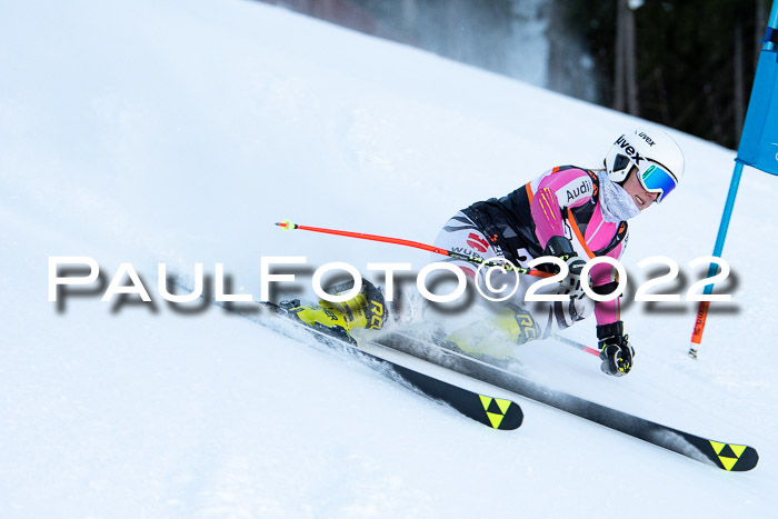 FIS Riesenslalom, ATA, Damen + Herren, 14.02.2022