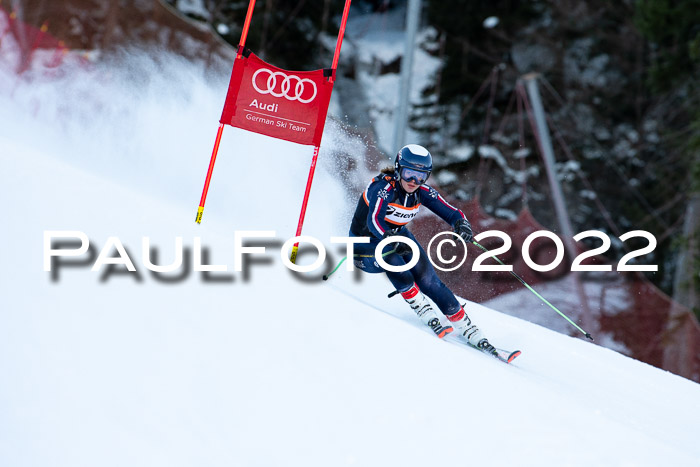 FIS Riesenslalom, ATA, Damen + Herren, 14.02.2022