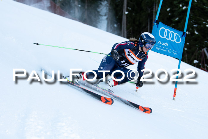 FIS Riesenslalom, ATA, Damen + Herren, 14.02.2022