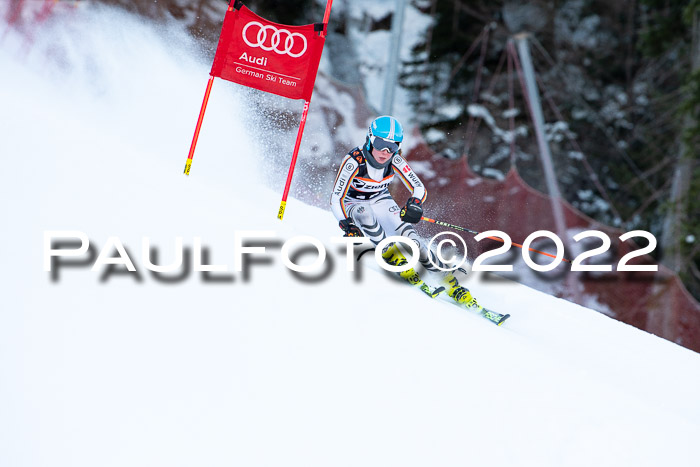 FIS Riesenslalom, ATA, Damen + Herren, 14.02.2022