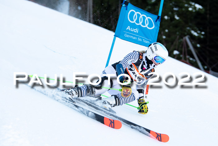 FIS Riesenslalom, ATA, Damen + Herren, 14.02.2022