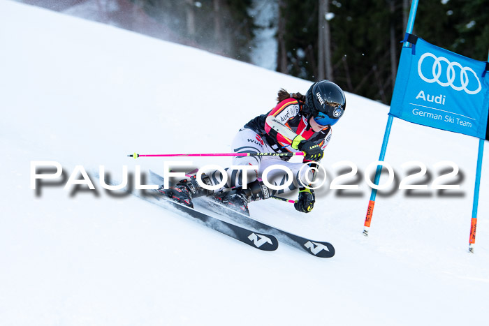 FIS Riesenslalom, ATA, Damen + Herren, 14.02.2022