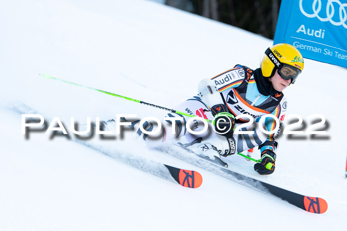 FIS Riesenslalom, ATA, Damen + Herren, 14.02.2022