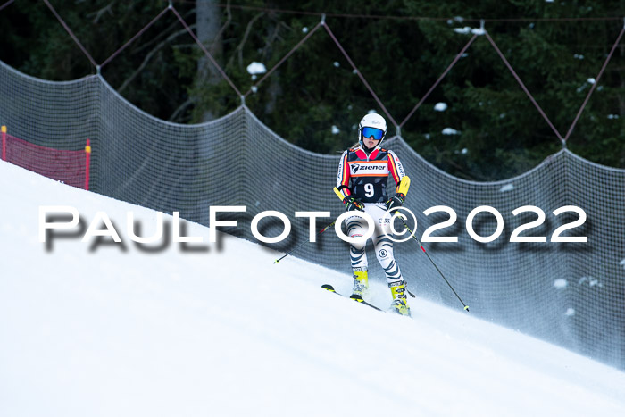 FIS Riesenslalom, ATA, Damen + Herren, 14.02.2022